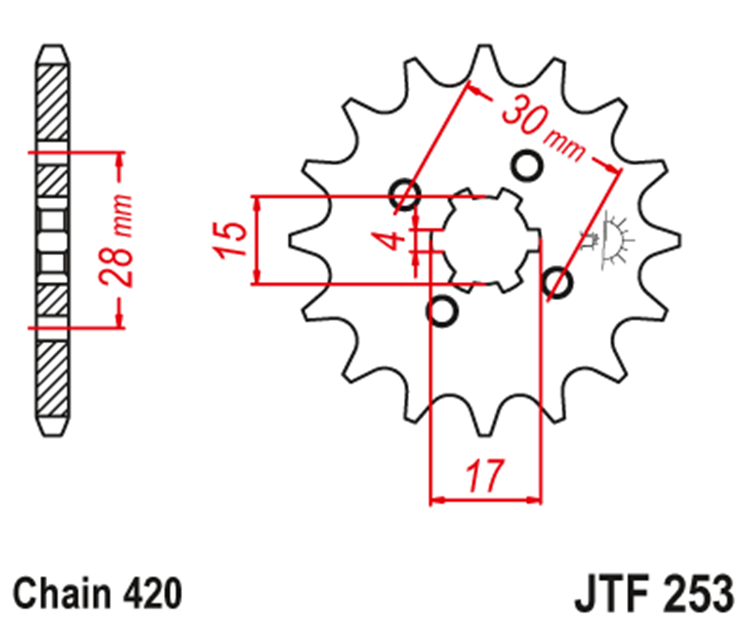 PION JT 253 de acero con 14 dientes